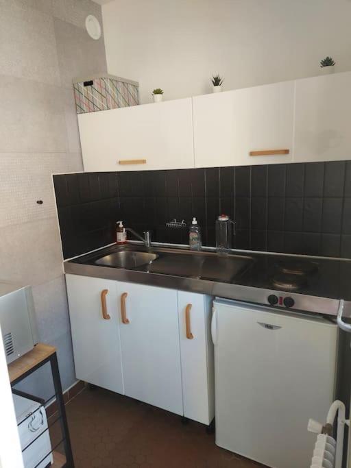 Studio Championnet, Balcon, Haut Confort غرونوبل المظهر الخارجي الصورة